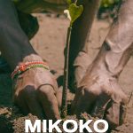 Mikoko